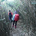P2000106.jpg