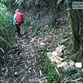 P2000105.jpg