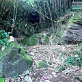 P2000110.jpg