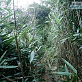 P2000114.jpg
