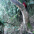P2000113.jpg