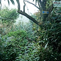P2000112.jpg