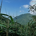 P2000111.jpg