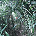 P2000115.jpg