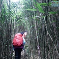 P2000116.jpg