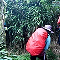 P2000117.jpg