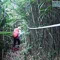 P2000121.jpg