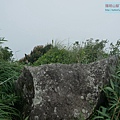P2000128.jpg