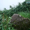P2000123.jpg