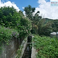 P2000591.jpg