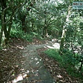 P2000608.jpg
