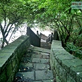 P2000618.jpg