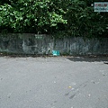 P2000625.jpg
