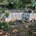 P2010266.jpg