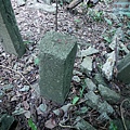 P2020694.jpg