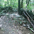 P2040249.jpg