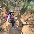 P2060285 (1).jpg