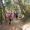 P2060287.jpg