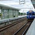 P2060886.jpg