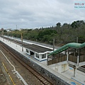 P2060908.jpg