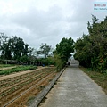 P2060931.jpg