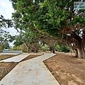 P2060930.jpg