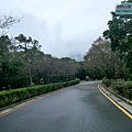 P2070410.jpg