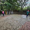 P2070412.jpg