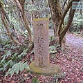 P2070417-1.jpg