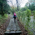P2070415.jpg