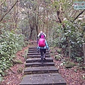 P2070418.jpg