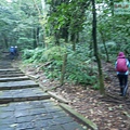 P2070424.jpg