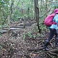 P2070430.jpg