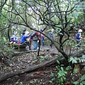 P2070431.jpg