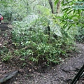 P2070432.jpg