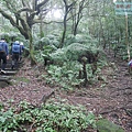 P2070433.jpg