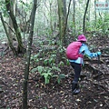 P2070437.jpg