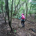 P2070436.jpg