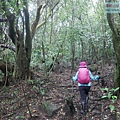 P2070438.jpg