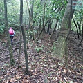 P2070439.jpg