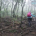 P2070443.jpg