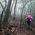 P2070442.jpg