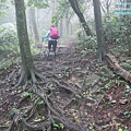P2070444.jpg