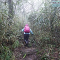 P2070445.jpg