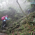 P2070453.jpg