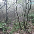 P2070458.jpg