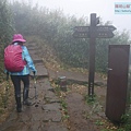 P2070464.jpg