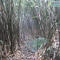 P2070460.jpg