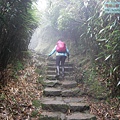 P2070461.jpg