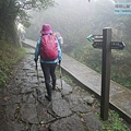 P2070494.jpg